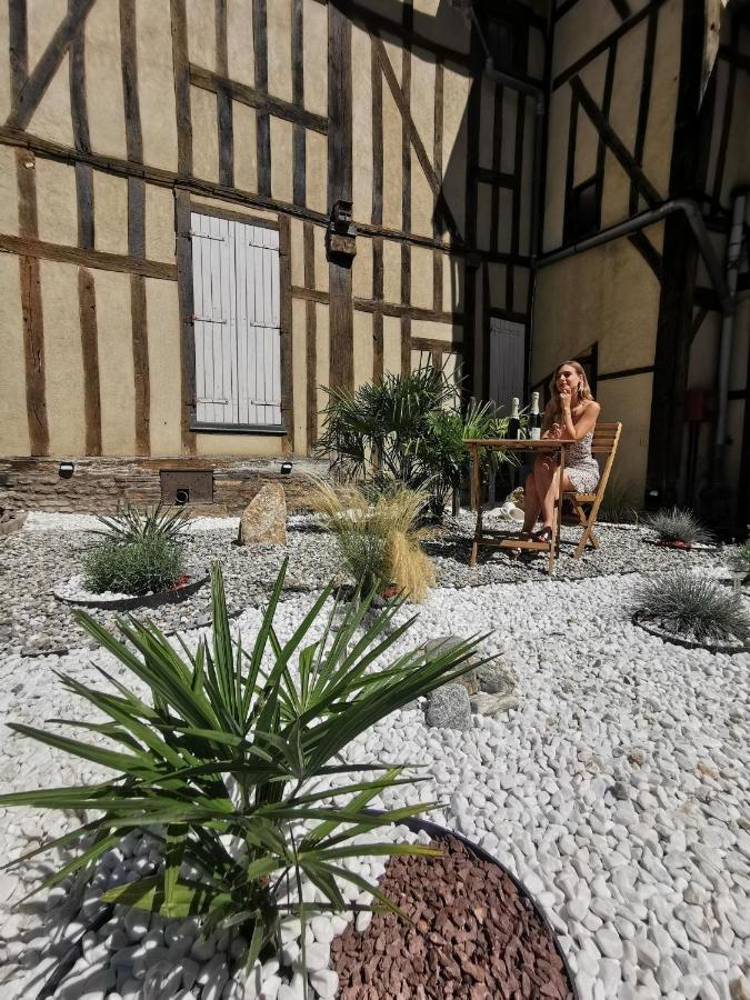Apartamento Les Cieux de la Cathédrale - Calme - Jardin - Wifi Troyes Exterior foto